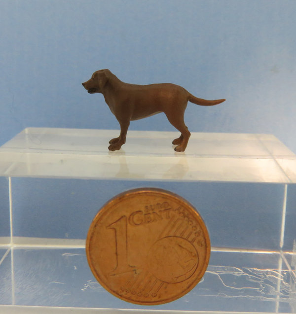 brauner Labrador Junghund ca. H 1,3 cm (1:45)