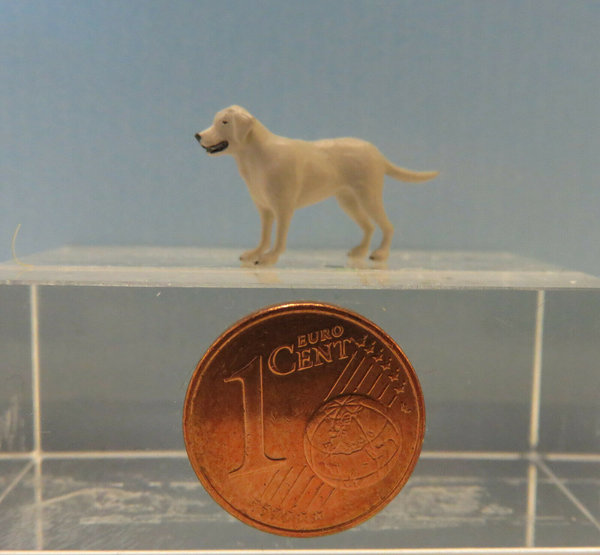 beiger Labrador Junghund  ca. H 1,3 cm (1:45)