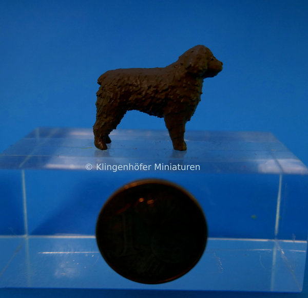 Wasserhund H ca. 1,7 cm braun (1:32)