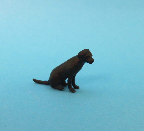 Labrador schwarz sitzend (1:45)