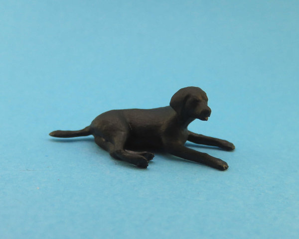 Labrador schwarz liegend (1:45)