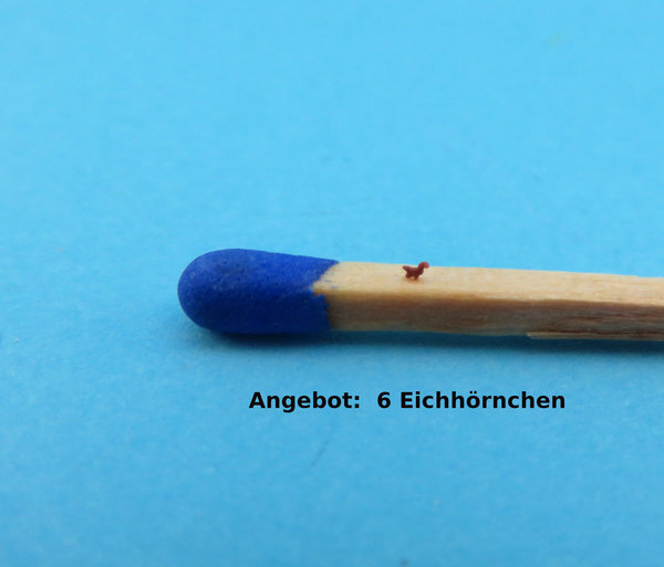 Eichhörnchen ca. H 1,4 mm (1:220)