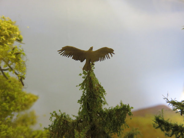 Adler mit ausgebreiteten Flügeln (1:160)